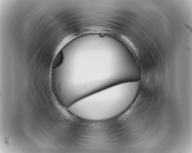 X0000096441378200801241108