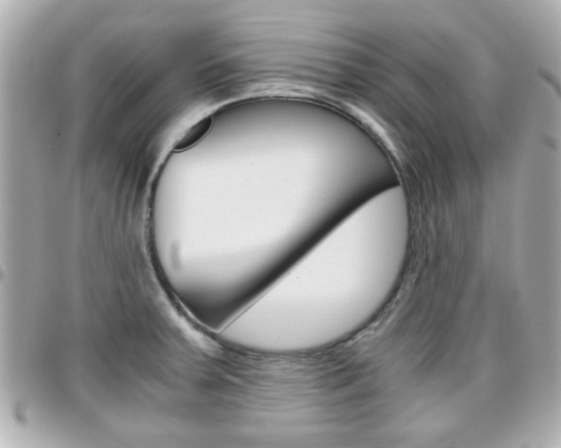 X0000096441379200801241108