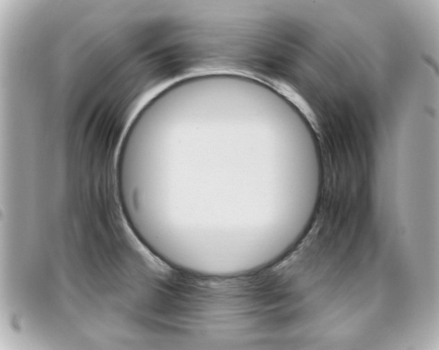 X0000096441380200801241108