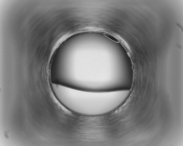 X0000096441381200801241108