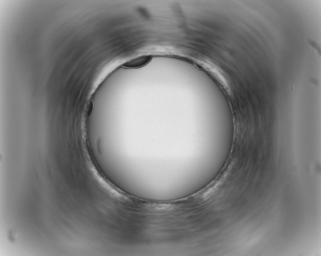 X0000096441382200801241108