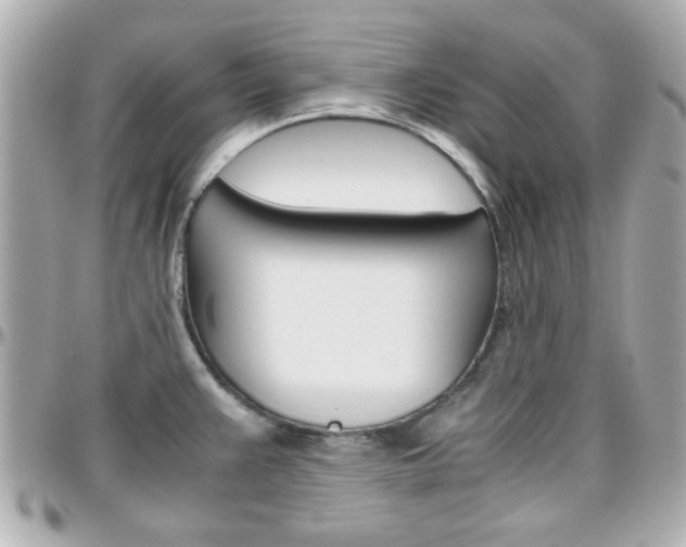 X0000096441383200801241108