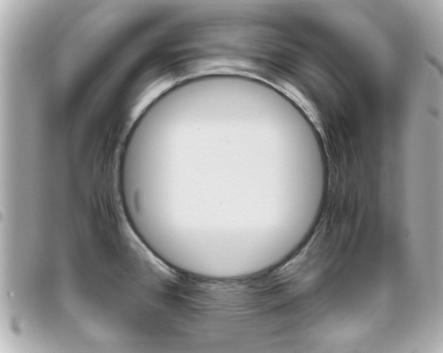 X0000096441384200801241108