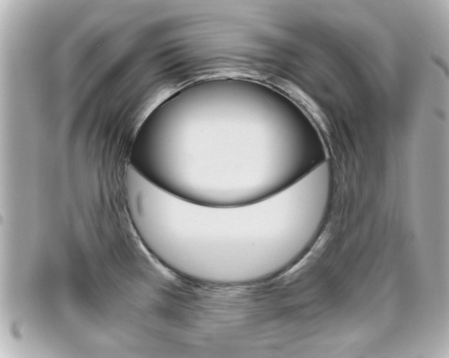 X0000096441385200801241108
