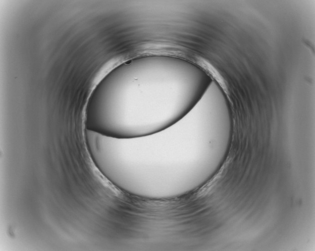 X0000096441386200801241108