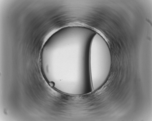 X0000096441387200801241108