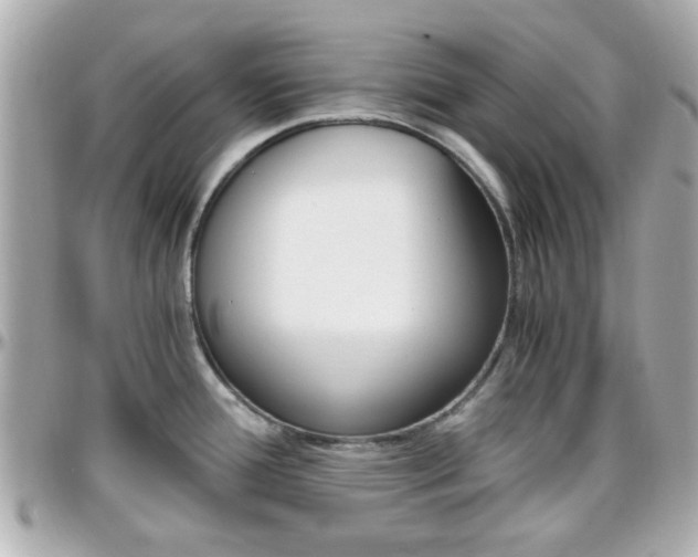 X0000096441388200801241108