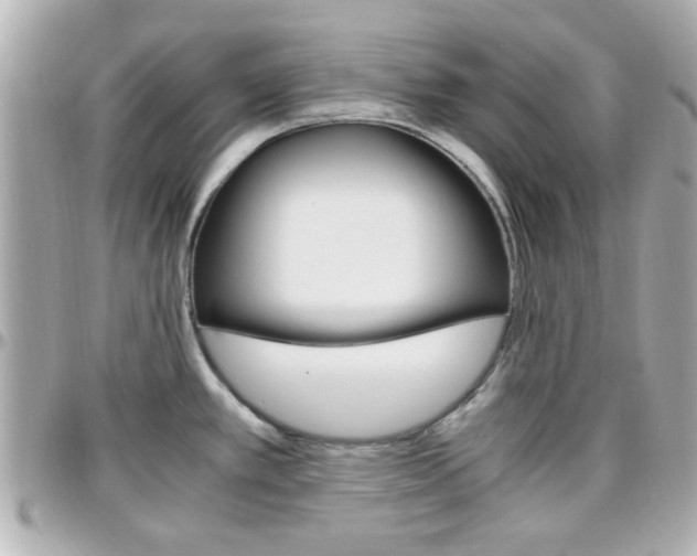 X0000096441389200801241108