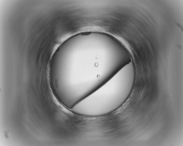 X0000096441390200801241108