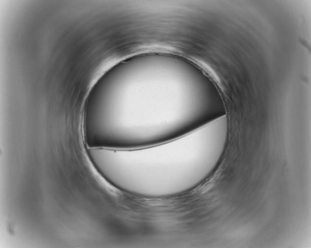 X0000096441391200801241108