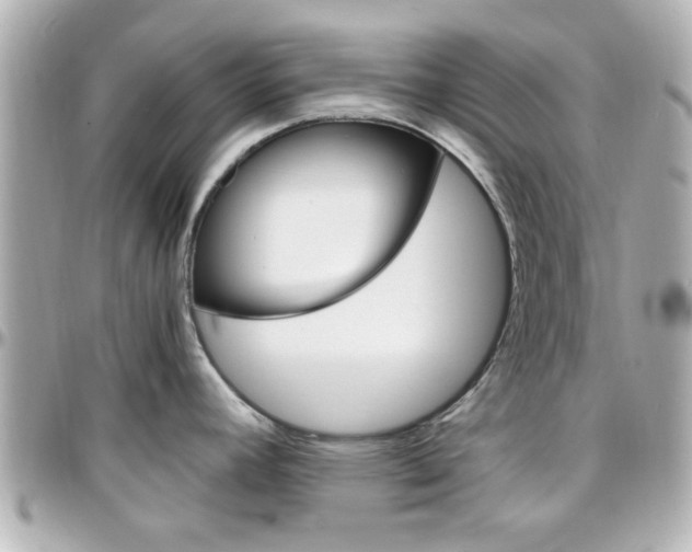 X0000096441392200801241108