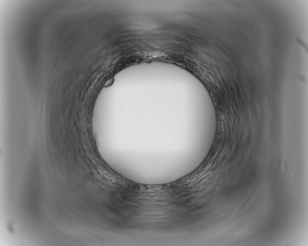 X0000096441393200801241107