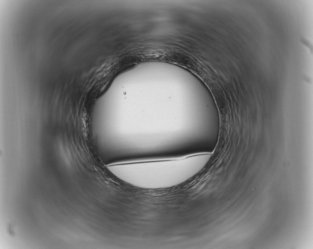 X0000096441394200801241107