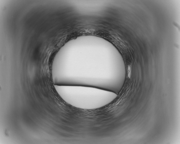 X0000096441395200801241107