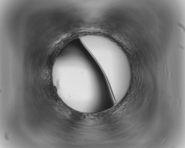 X0000096441398200801241107