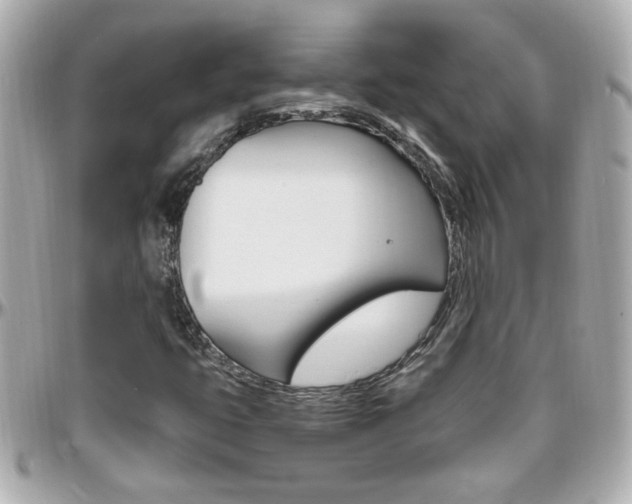 X0000096441399200801241107