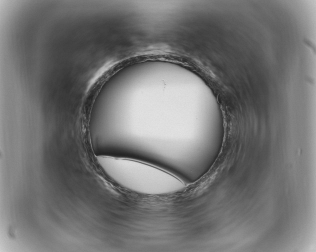 X0000096441400200801241107