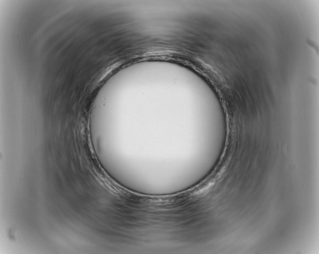 X0000096441401200801241107