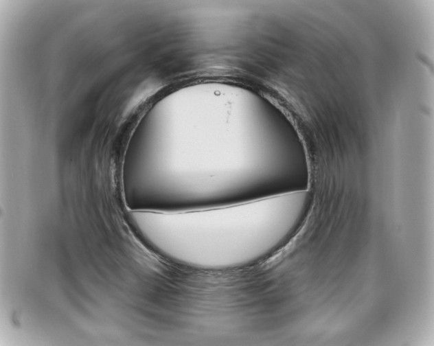 X0000096441402200801241107