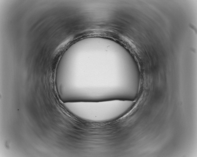 X0000096441403200801241107