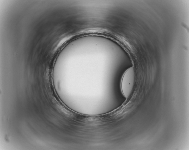 X0000096441404200801241107