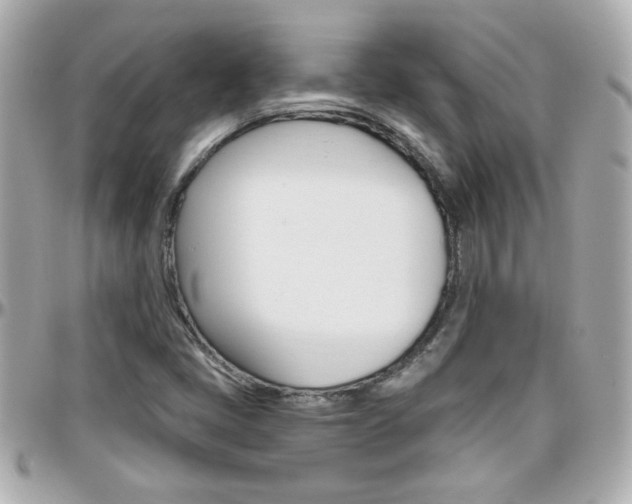 X0000096441405200801241107