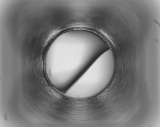X0000096441408200801241107