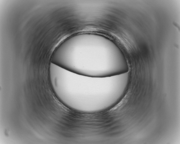 X0000096441409200801241107