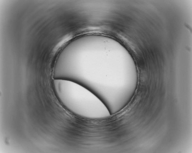 X0000096441411200801241107