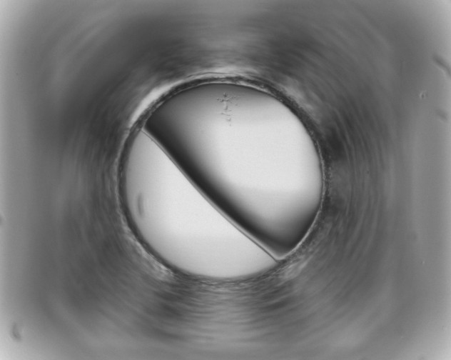 X0000096441412200801241107