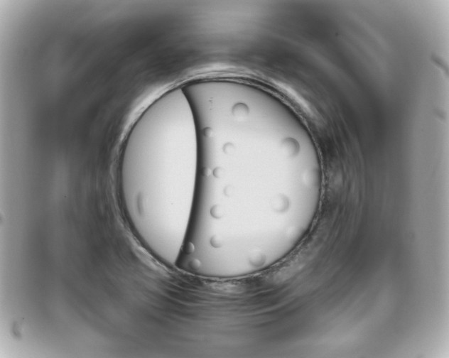 X0000096441413200801241107