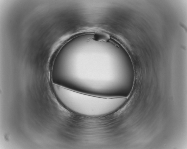 X0000096441414200801241108