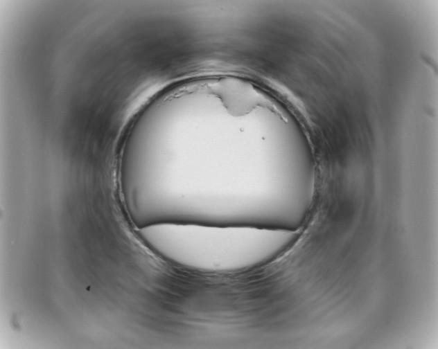 X0000096441415200801241108