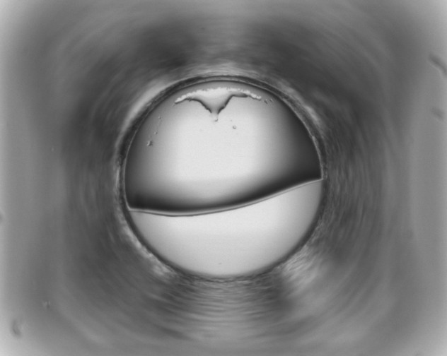 X0000096441416200801241108