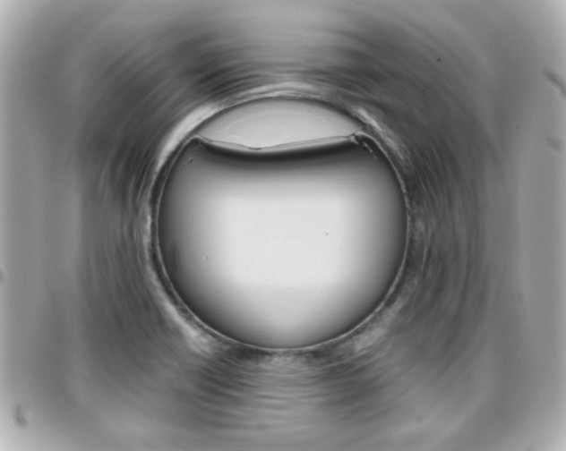 X0000096441418200801241108