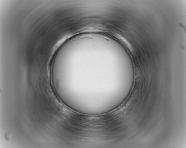 X0000096441419200801241108