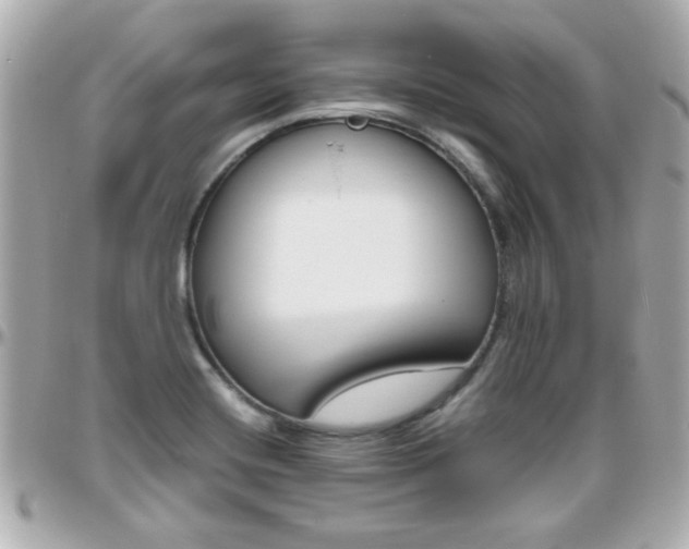 X0000096441420200801241108