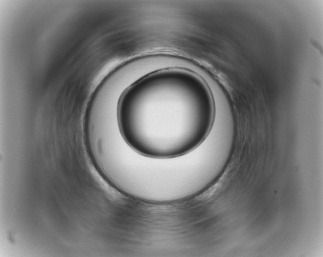 X0000096441422200801241108