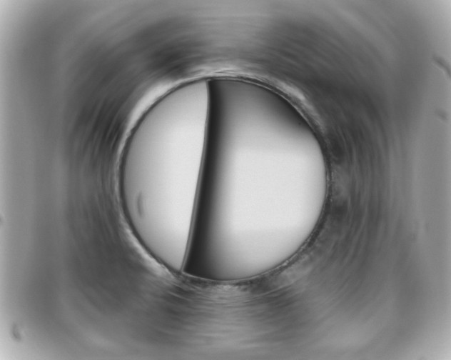 X0000096441424200801241108