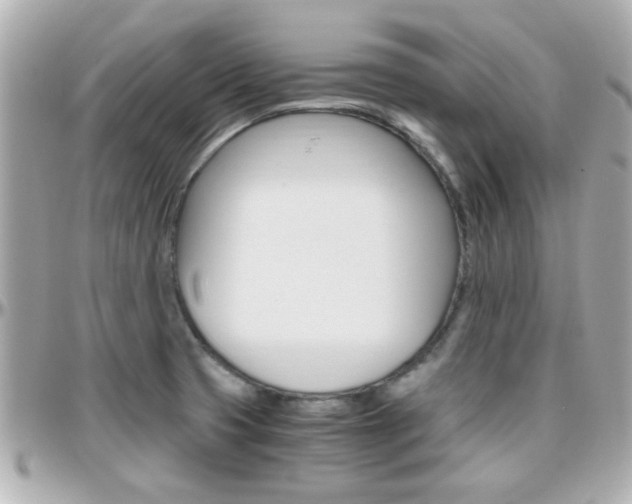X0000096441425200801241108