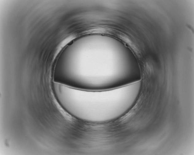 X0000096441426200801241108