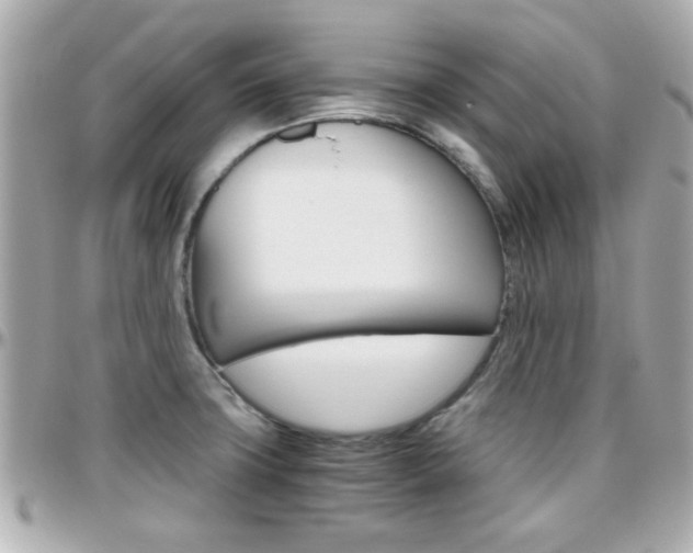X0000096441427200801241108