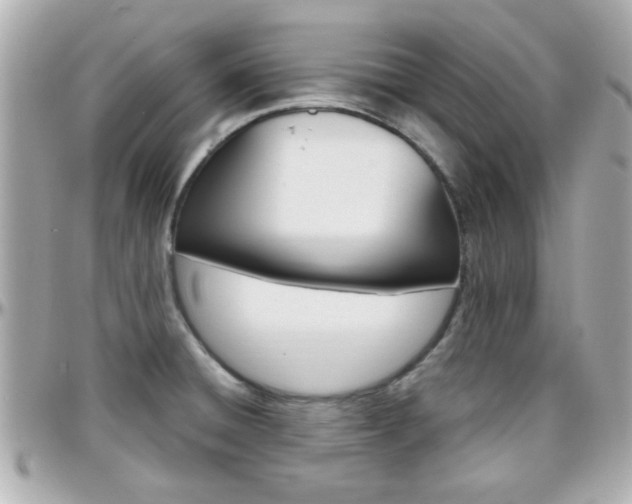 X0000096441428200801241108
