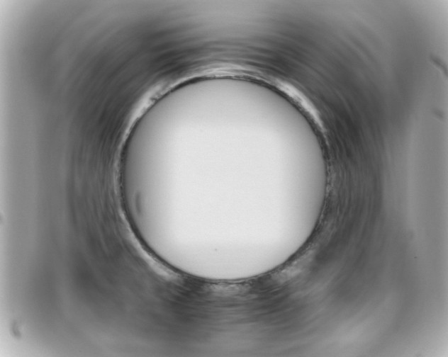 X0000096441429200801241108
