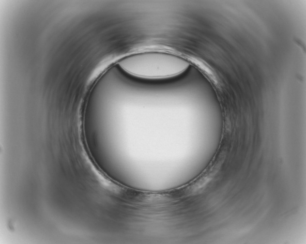 X0000096441430200801241108
