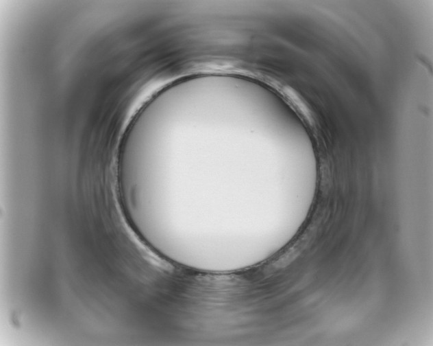 X0000096441432200801241108