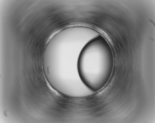 X0000096441433200801241108