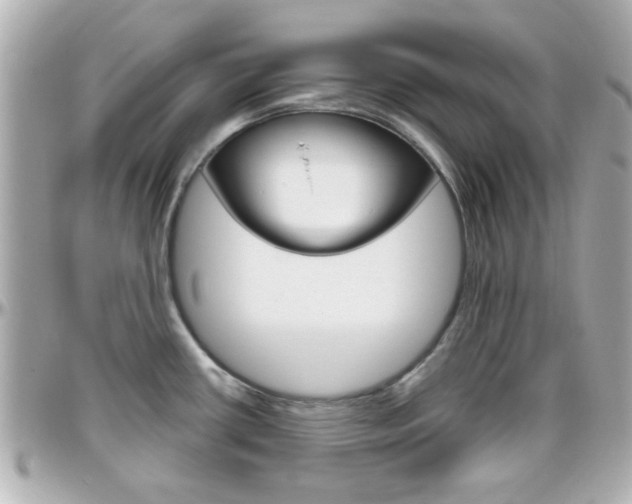 X0000096441434200801241108