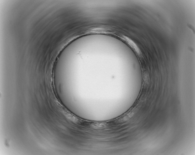 X0000096441435200801241108