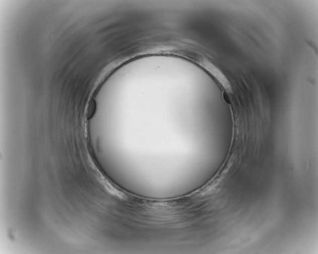 X0000096441436200801241108